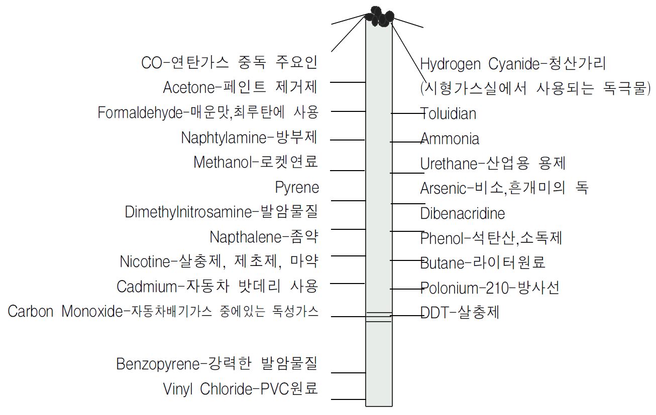 Figure 1. 담배로부터 나오는 독성 물질들 (Toxic substances from tobacco)