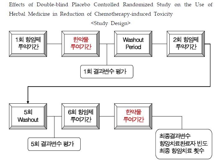 시험약물 투여계획의 요약