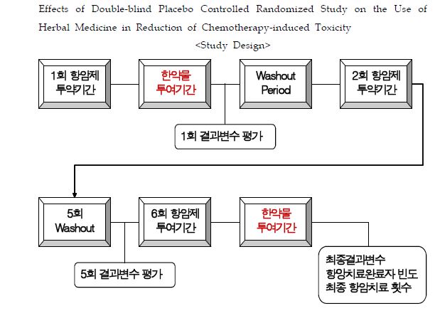 시험약물 투여계획의 요약