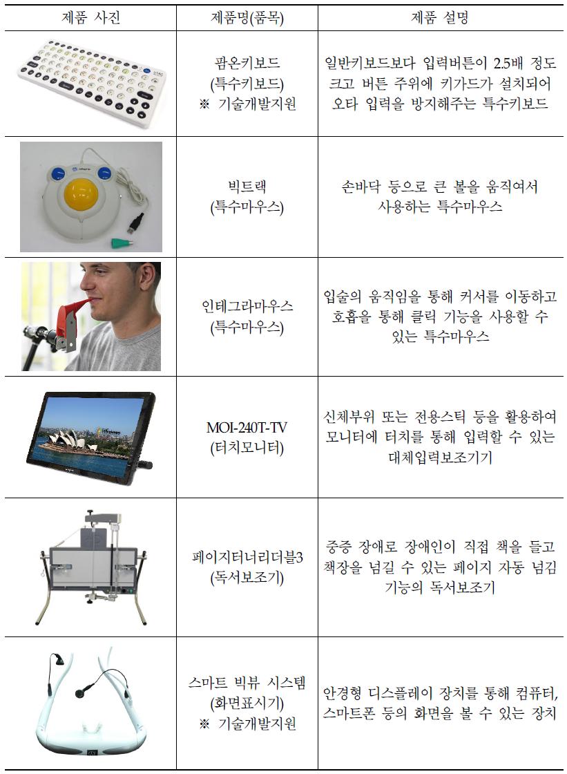 `13년 정보통신 보조기기 주요 보급품목(지체/뇌병변장애)