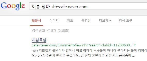 구글에서 네이버 카페의 “여름장마”를 검색한 결과