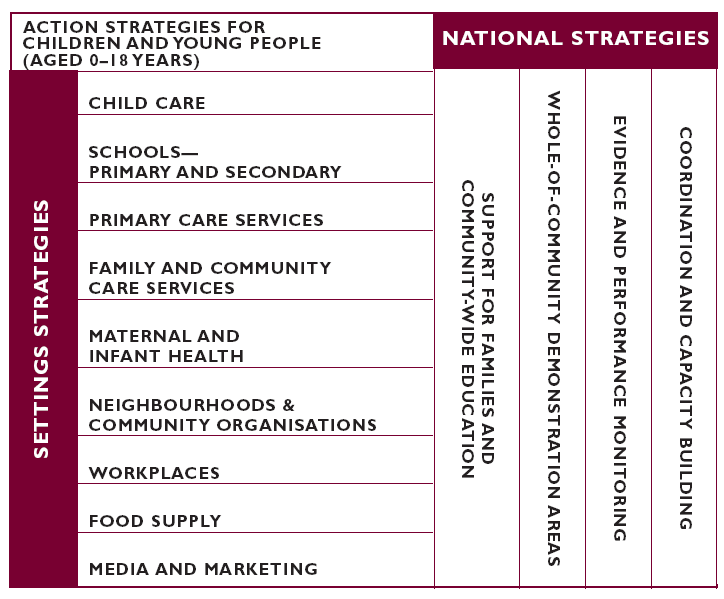 〔그림 5-6〕 호주의 국가 비만사업 전략(National Strategies)