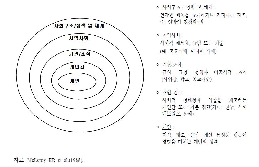 〔그림 2-1〕 비만 정책과 사업에 적용하는 사회생태적 모델