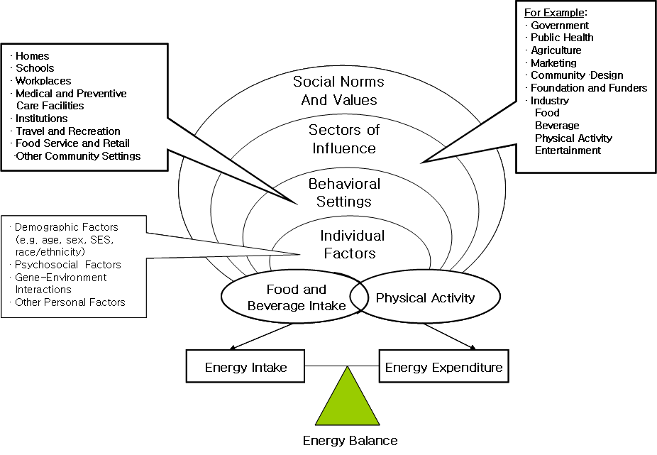 〔그림 2-2〕 미국 CDC의 비만예방을 위한 NPAO 프로그램의 접근 모델