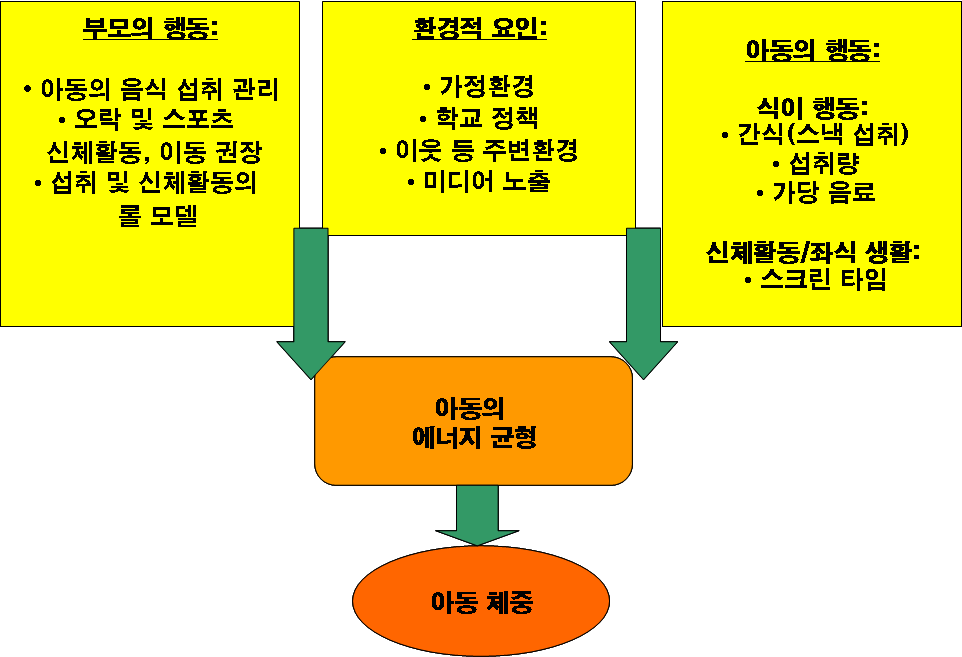 〔그림 2-3〕 아동기 체중에 영향을 미치는 3대 요인