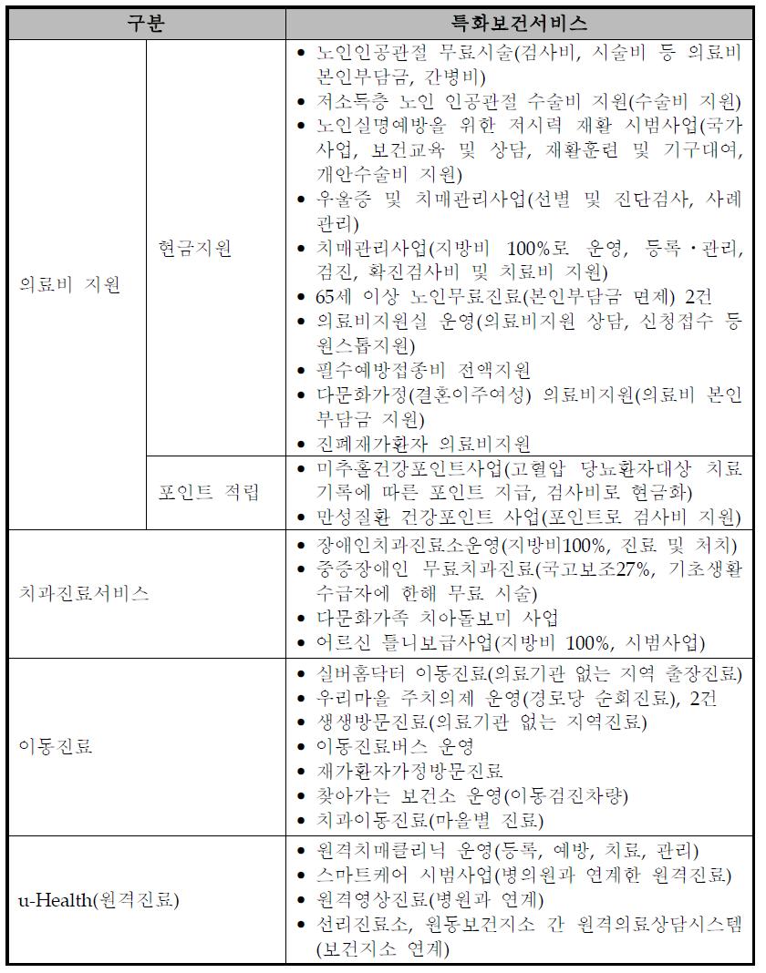 진료서비스 유형의 지자체 특화보건서비스