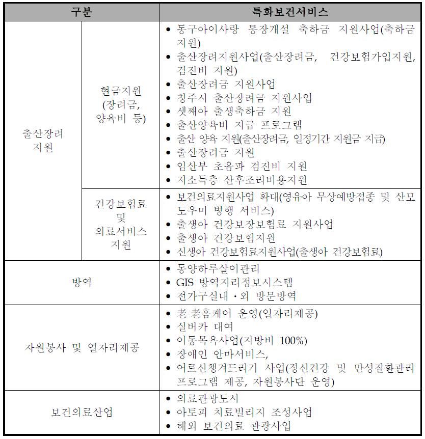 기타 유형의 지자체 특화보건서비스