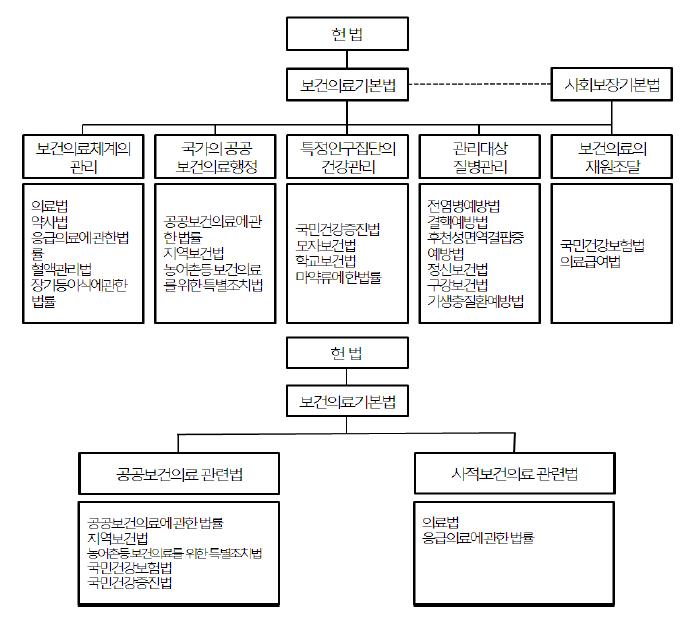 현행 보건의료 관련 법률체계(자료 : 정상우(2009):30-31)