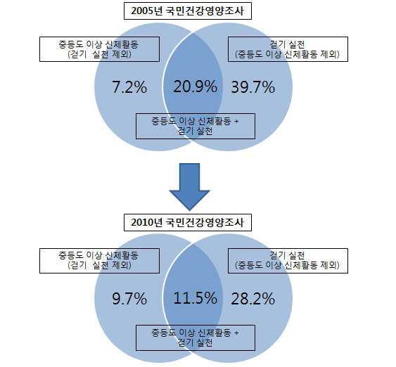 신체활동 실천 항목에 따른 실천율 변화