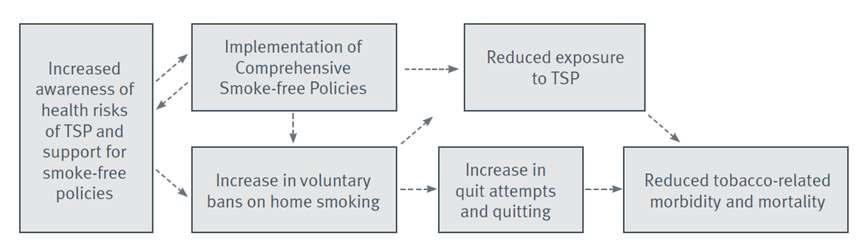 IARC에서 제시한 실내 흡연규제정책의 평가 틀