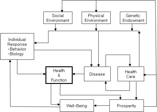 건강의 결정요인과 결정기전 자료: Evans RG, Stoddart GL (1990). Producing health, consuming health care. Social Science