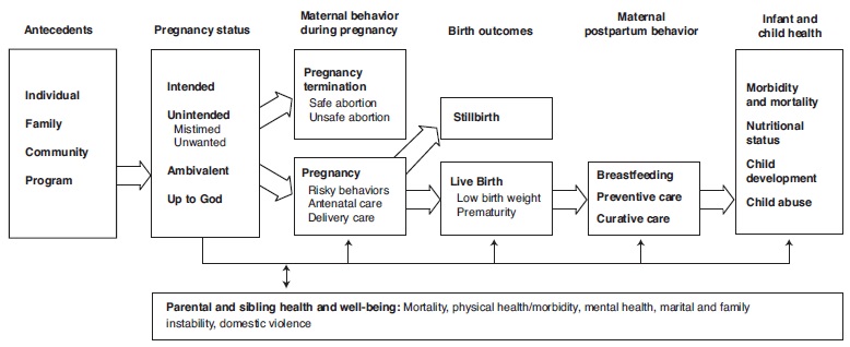 의도하지 않은 임신이 신생아, 아동, 부모의 건강에 미치는 영향에 대한 개념적 모형