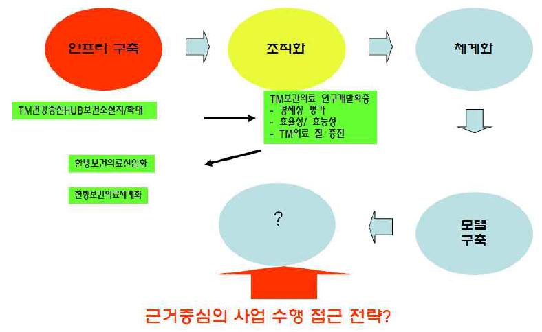 근거중심의전통의료를이용한건강증진사업국제화를위한수행전략