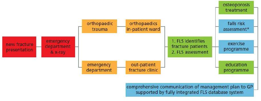 Fracture Liaison Service(FLS)