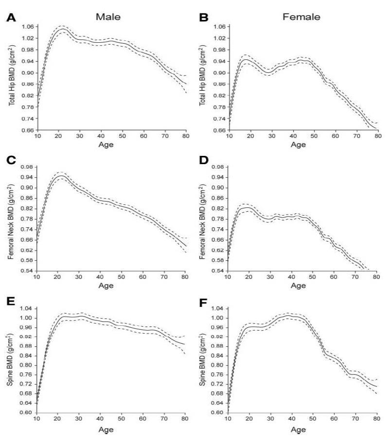 연령에 따른 부위별 골밀도(왼쪽: 남자, 오른쪽 여자)