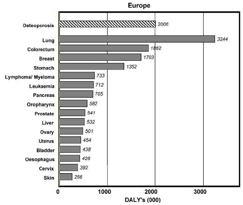 암대비 골다공증의 DALY