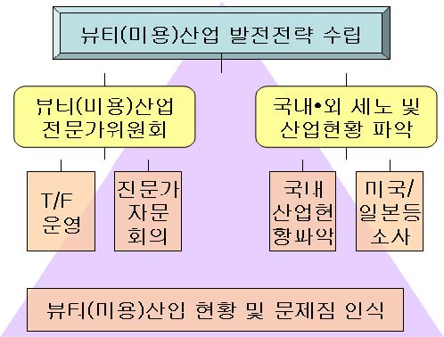 그림 1-1 연구 추진 체계도