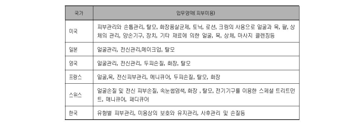 주요국의 피부미용사 자격증 업무영역