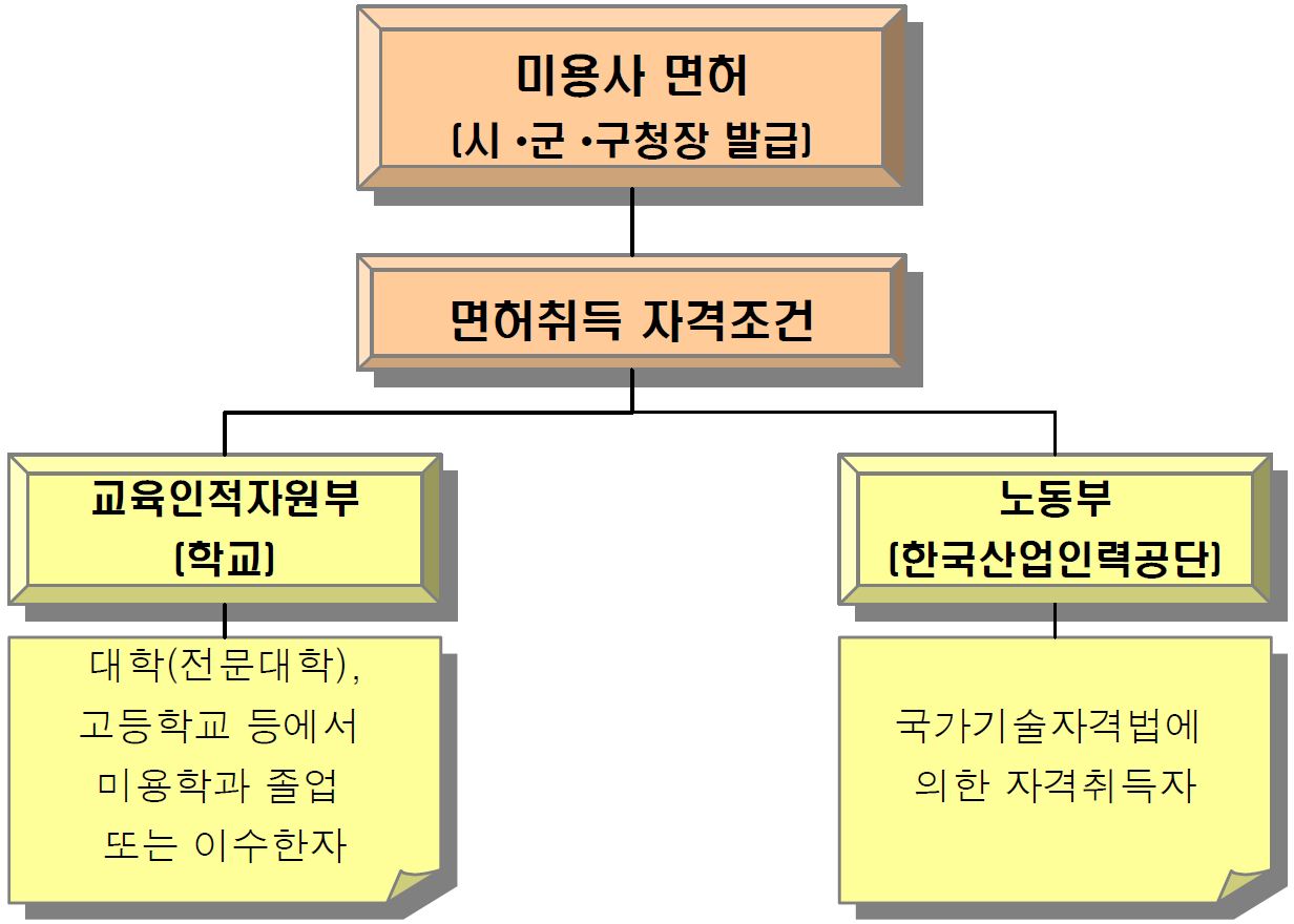 그림 3-7 미용사 면허발급 체계