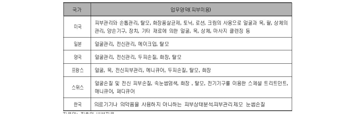 주요국의 피부미용사 업무영역