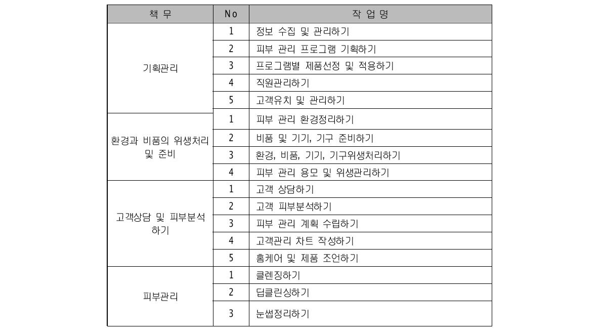 피부미용 직무명세서