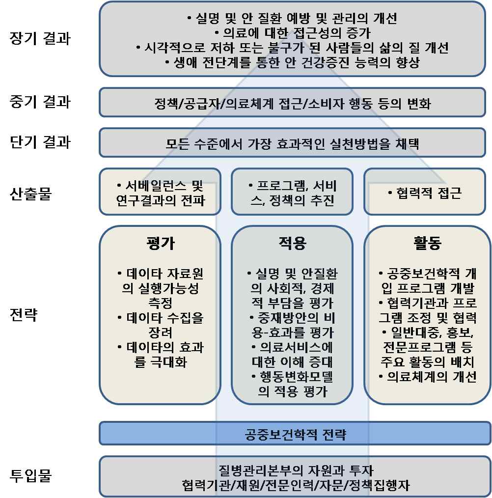 그림 13. 미국 질병관리본부의 실명예방을 위한 공중보건학적 모델