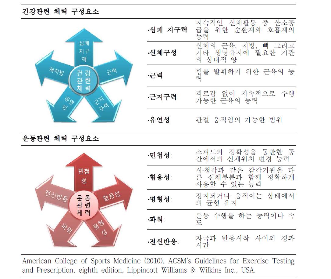 건강 및 운동관련 체력의 구성요소