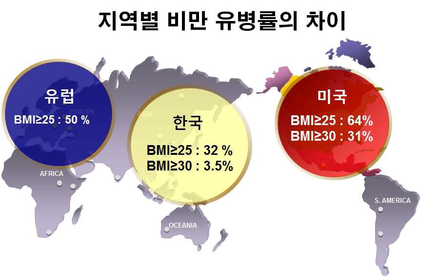 미국, 유럽, 한국의 비만도 비교