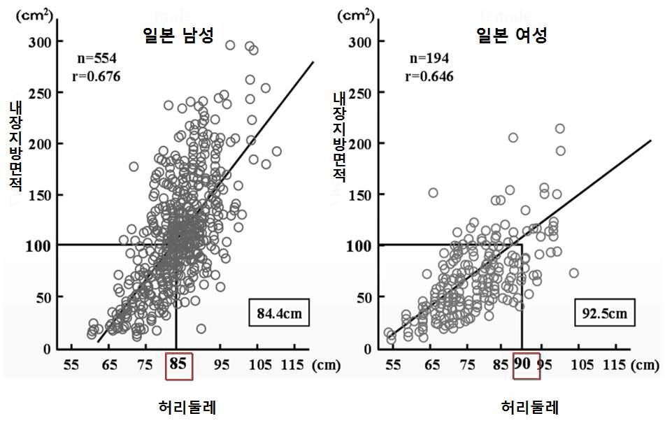 일본에서 제시된 내장지방면적 100cm2에 해당하는 허리둘레 수치