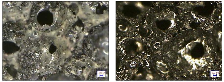 탄화 전, 후 현미경 사진 ( C-TiO2 ) (C-TiO2: 페놀수지에 TiO2를 첨가하여 제작한 발포체)