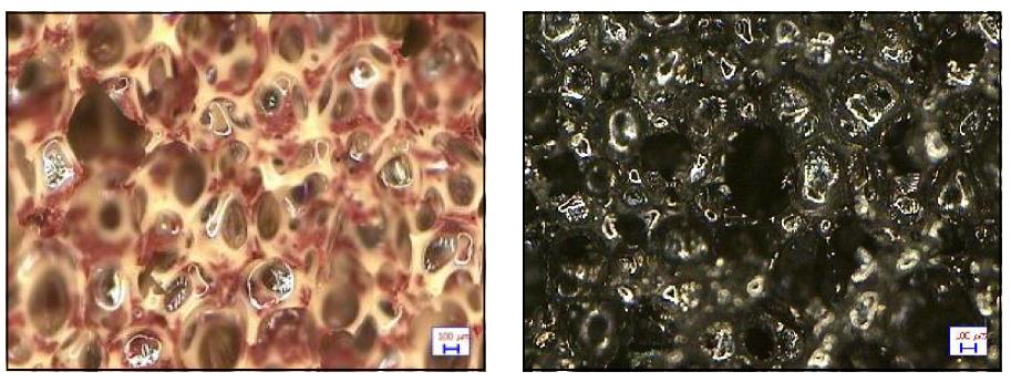 탄화 전, 후 현미경 사진 ( C-Fe2O3 ) (C-Fe2O3: 페놀수지에 Fe2O3를 첨가하여 제작한 발포체)