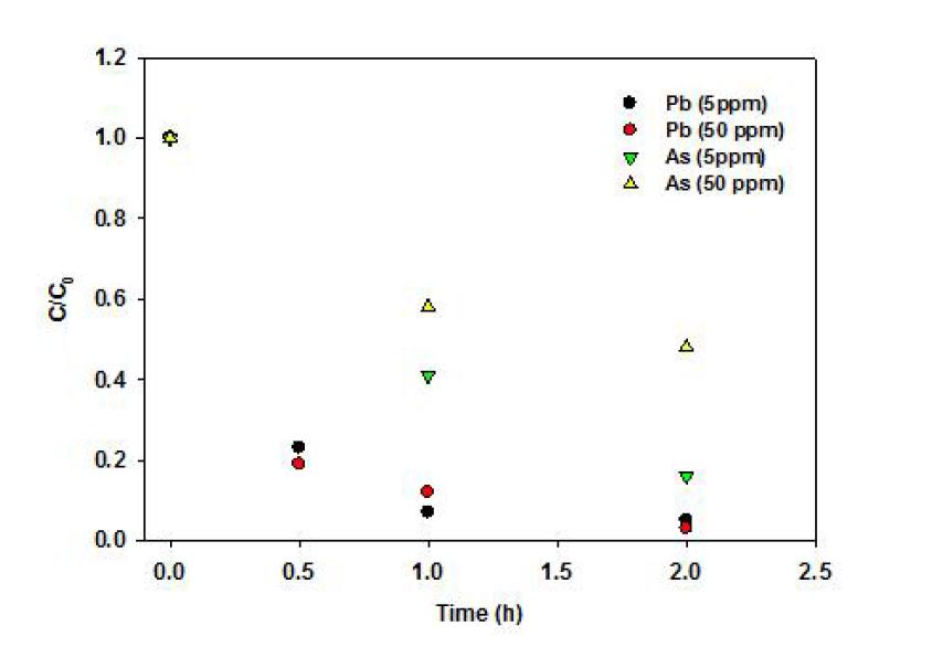 Fe2O3을 첨가한 탄화폼에 대한 납(Pb)과 비소(As)의 제거율