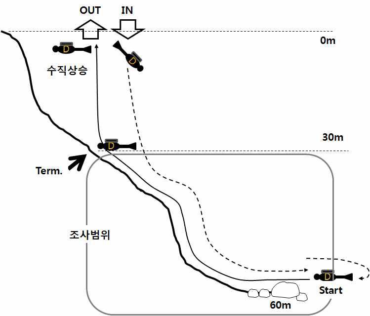 조사진행 순서