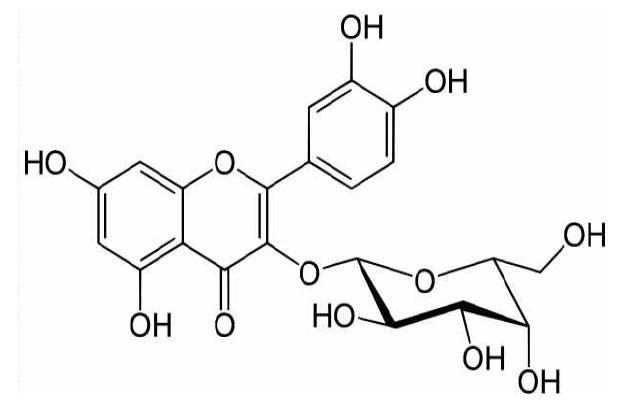 Hyperoside의 구조