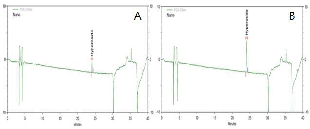 LOD(A) and LOQ(B)의 HPLC 크로마토그램