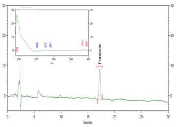 콜레우스 포스콜리 추출물의 Forskolin 표준품 HPLC 크로마토그램