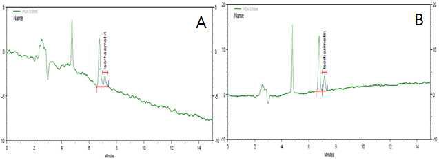 Isohramnetin의 LOD(A), LOQ(B) HPLC 크로마토그램