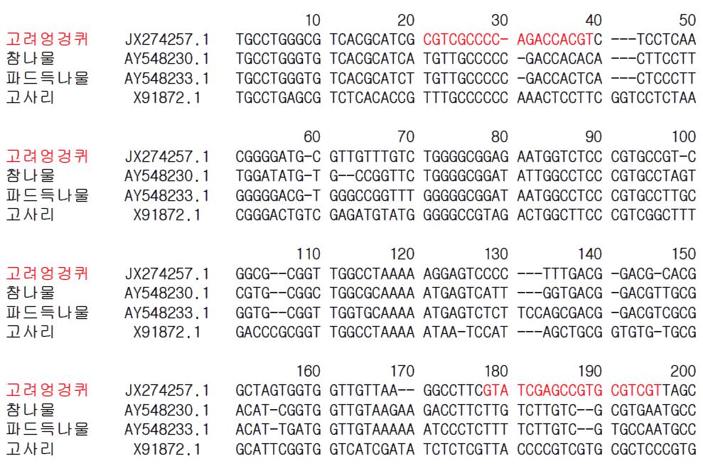고려엉겅퀴(곤드레) 종 특이 프라이머 설계를 위한 유전자(18S rRNA) 염기서열 비교 및 분석
