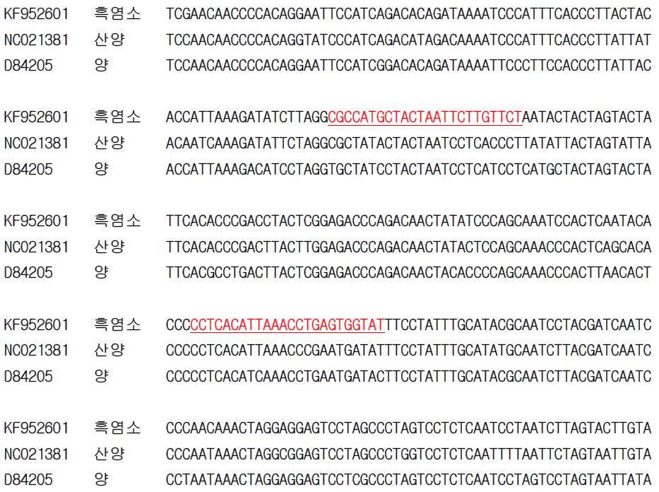 흑염소 종 특이 프라이머 설계를 위한 유전자(Cytb) 염기서열 비교 및 분석.