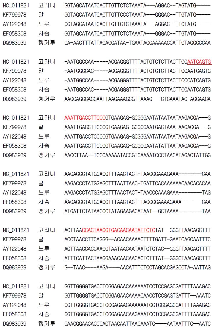 고라니 종 특이 프라이머 설계를 위한 유전자(16S rRNA) 염기서열 비교 및 분석.