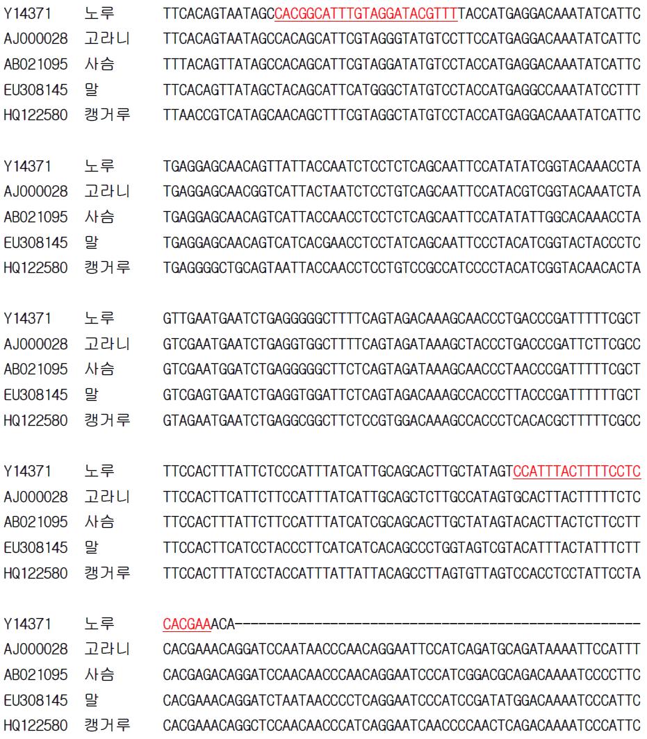 노루 종 특이 프라이머 설계를 위한 유전자(Cytb) 염기서열 비교 및 분석.
