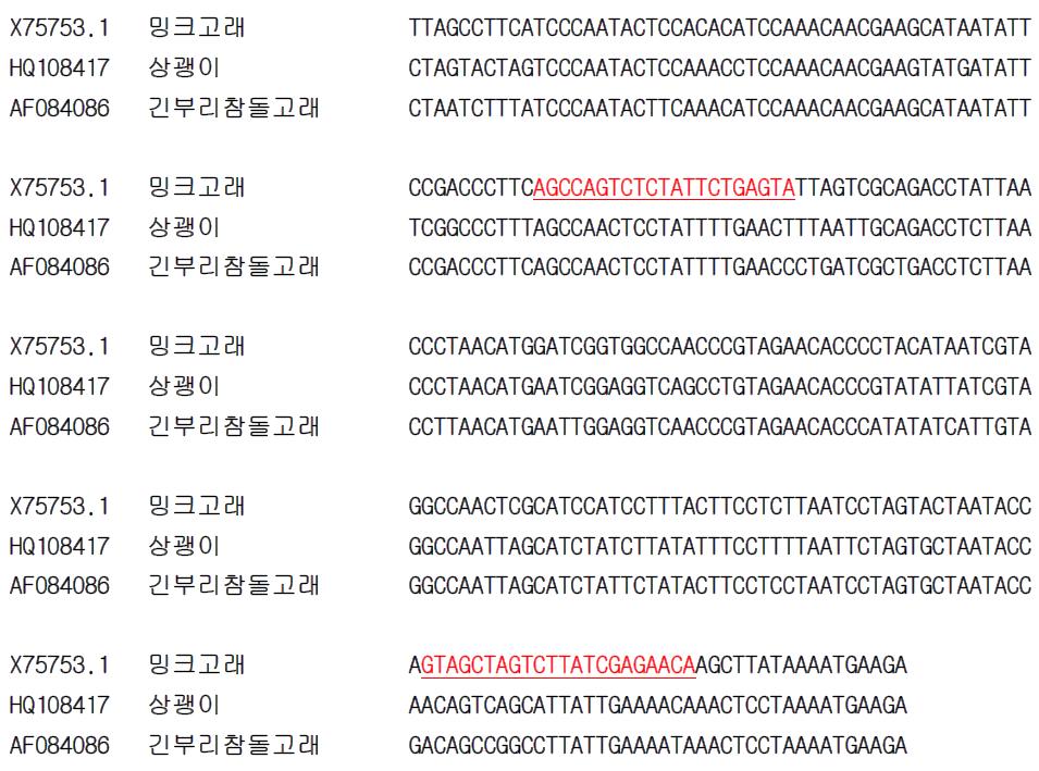 밍크고래 종 특이 프라이머 설계를 위한 유전자(Cytb) 염기서열 비교 및 분석.