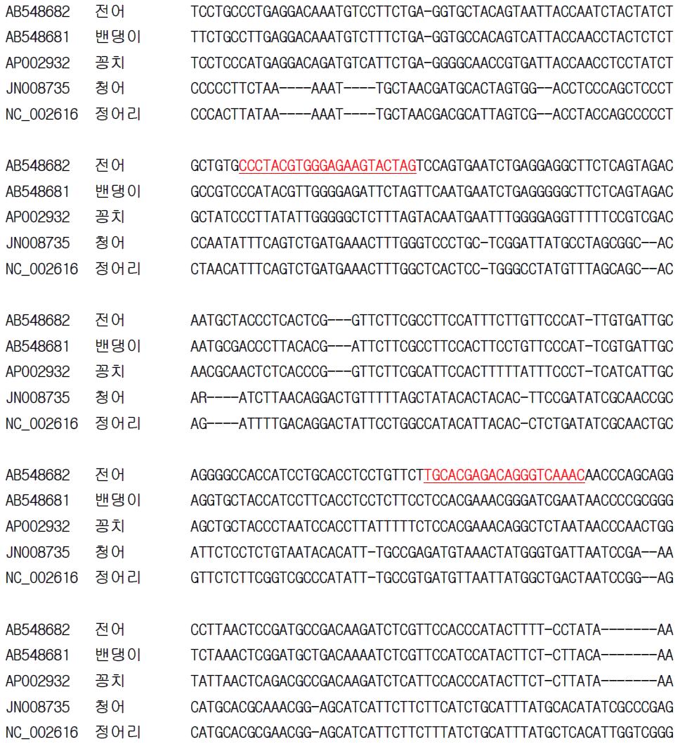 전어 종 특이 프라이머 설계를 위한 유전자(Cytb) 염기서열 비교 및 분석.