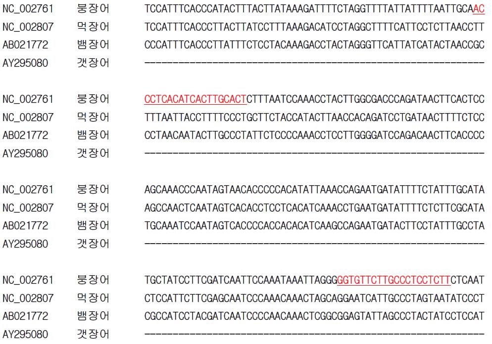 붕장어 종 특이 프라이머 설계를 위한 유전자(Cytb) 염기서열 비교 및 분석.