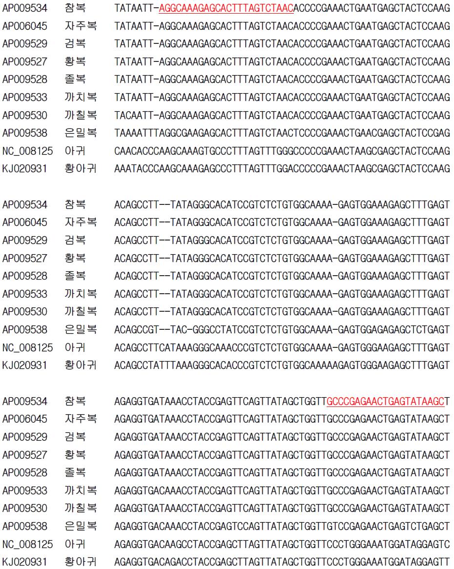 복어류 종 특이 프라이머 설계를 위한 유전자(16S rRNA) 염기서열 비교 및 분석.