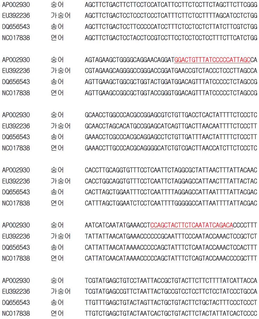 숭어 종 특이 프라이머 설계를 위한 유전자(COI) 염기서열 비교 및 분석.