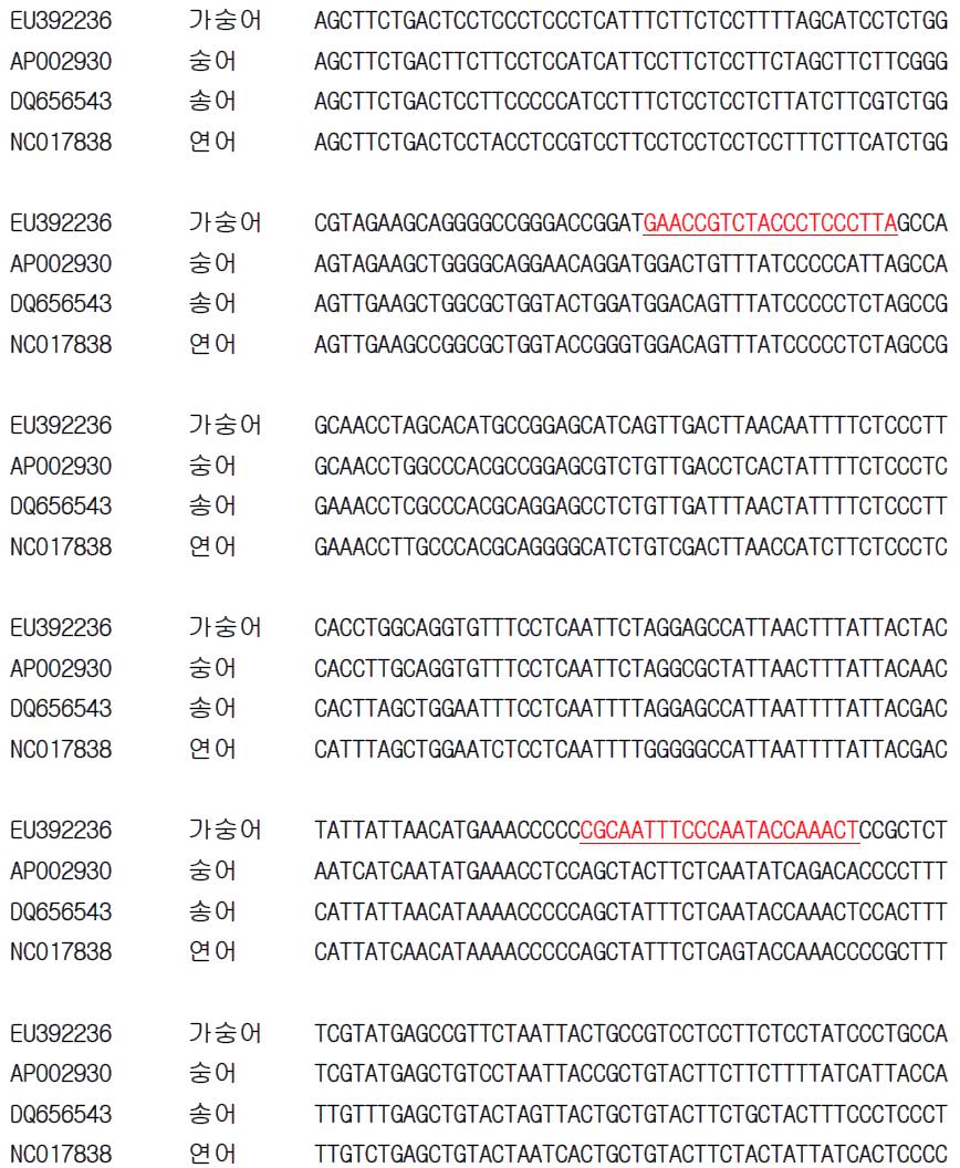 가숭어 종 특이 프라이머 설계를 위한 유전자(COI) 염기서열 비교 및 분석.