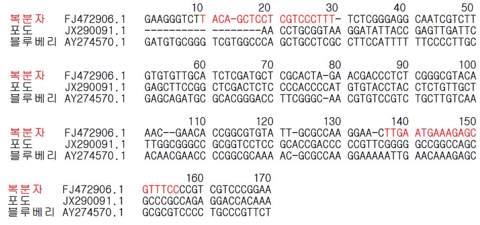 복분자류(나무딸기류) 종 특이 프라이머 설계를 위한 유전자(ITS2) 염기서열 비교 및 분석