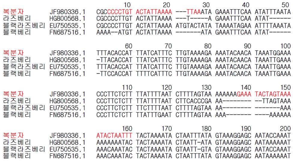 복분자 종 특이 프라이머 설계를 위한 유전자(psbA-trnH) 염기서열 비교 및 분석