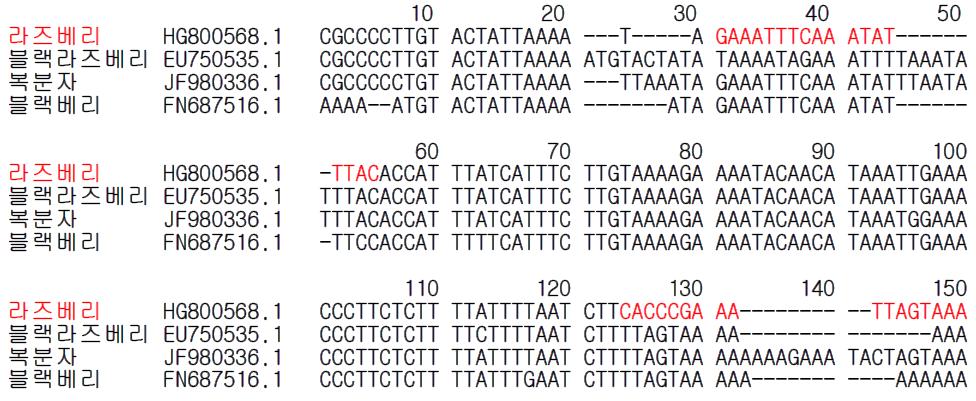 라즈베리 종 특이 프라이머 설계를 위한 유전자(psbA-trnH) 염기서열 비교 및 분석.